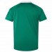 Ireland Rugby Men's 150th Pro Jersey 2024