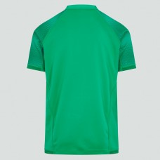 Ireland Rugby Men's Vapodri Home Pro Jersey 2022-23