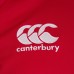CCC British And Irish Lions Pro Jersey 2021