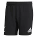 All Blacks Rugby Home Shorts 2021-22