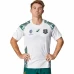 Rugby World Cup Australia Mens Away Jersey 2023