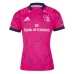 Adult Leinster Player Training Jersey 2021-22