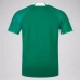 Ireland Rugby Men's Home Pro Jersey 2024