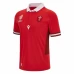 Wales Rugby World Cup Mens Home Jersey 2023