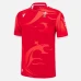 Welsh Rugby Mens Commonwealth Games Home Jersey 2022-23