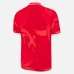 Welsh Rugby Mens Commonwealth Games Home Jersey 2022-23