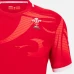 Welsh Rugby Mens Commonwealth Games Home Jersey 2022-23