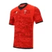 Welsh Rugby Training Jersey 2021