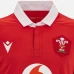 Wales Rugby Mens Home Jersey 2023