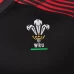 Welsh Rugby Pathway Away Jersey 2021